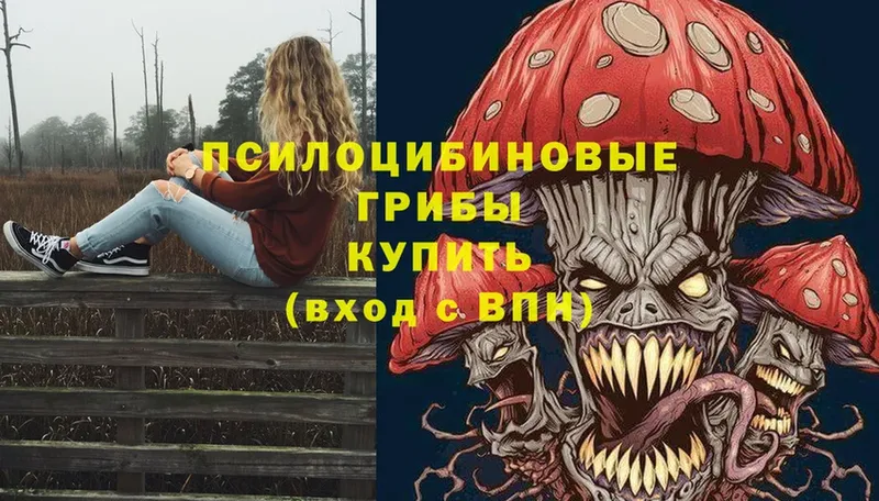 Псилоцибиновые грибы мухоморы  Костомукша 